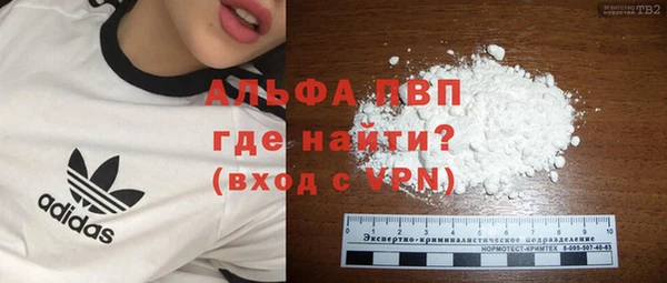 ПСИЛОЦИБИНОВЫЕ ГРИБЫ Заволжье