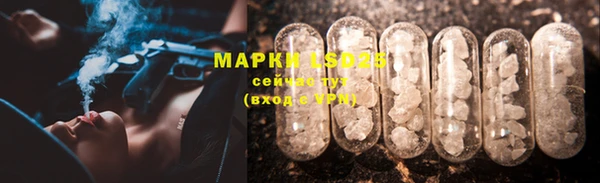 ПСИЛОЦИБИНОВЫЕ ГРИБЫ Заволжье