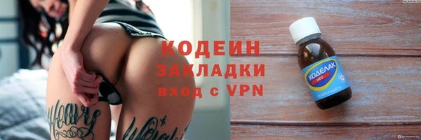 ПСИЛОЦИБИНОВЫЕ ГРИБЫ Заволжье