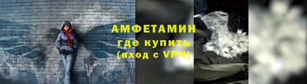 ПСИЛОЦИБИНОВЫЕ ГРИБЫ Заволжье