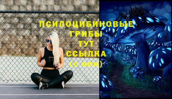 мефедрон мука Заводоуковск