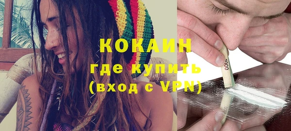 ПСИЛОЦИБИНОВЫЕ ГРИБЫ Заволжье