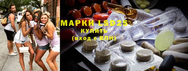ПСИЛОЦИБИНОВЫЕ ГРИБЫ Заволжье
