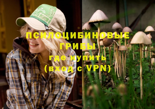 mdpv Заволжск