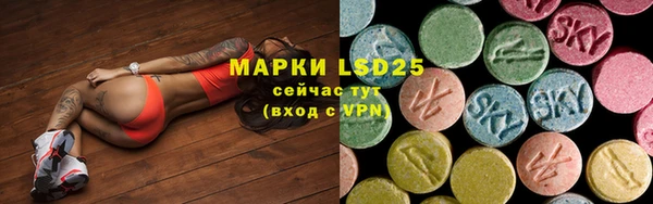 ПСИЛОЦИБИНОВЫЕ ГРИБЫ Заволжье