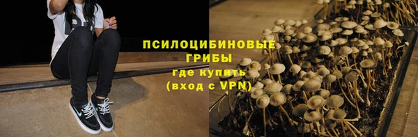 mdpv Заволжск